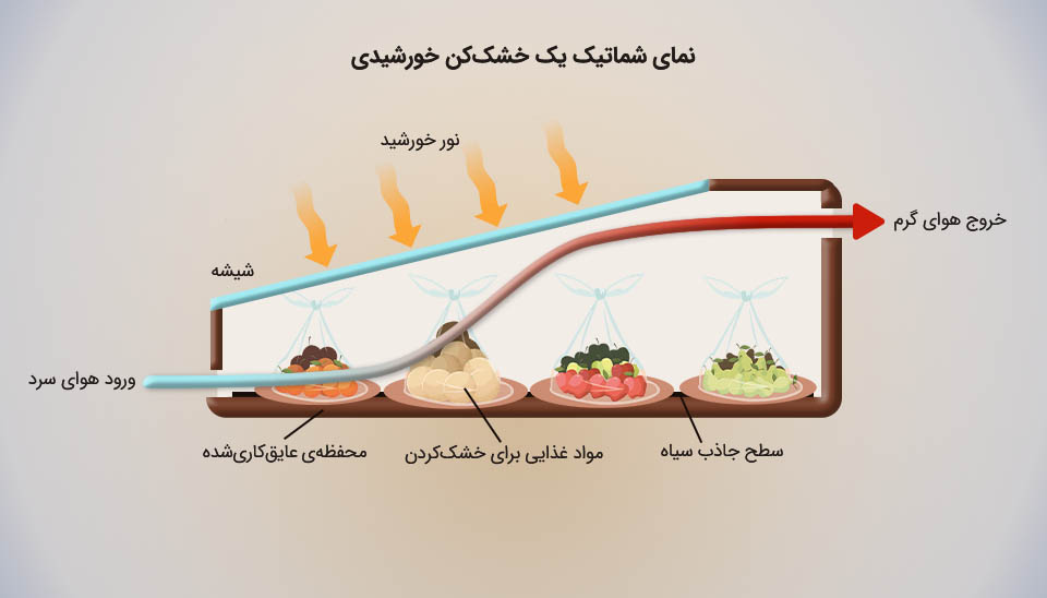 طرح شماتیک مقطعی از یک خشک‌کن خورشیدی فعال، شامل شیشه، سطح جاذب سیاه، مواد غذایی و جریان هوا.