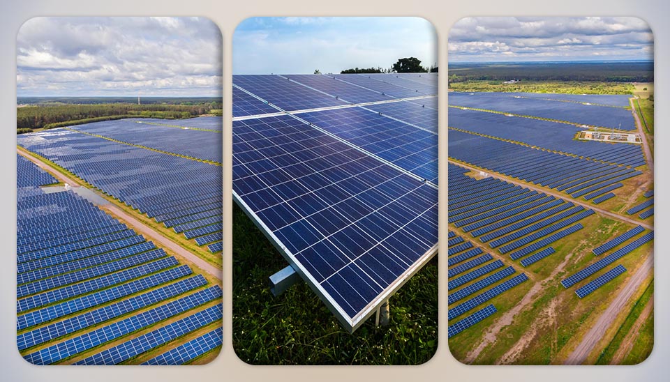 Silicon solar cells installed in a large PV power plant array at a utility-scale solar energy generation site.