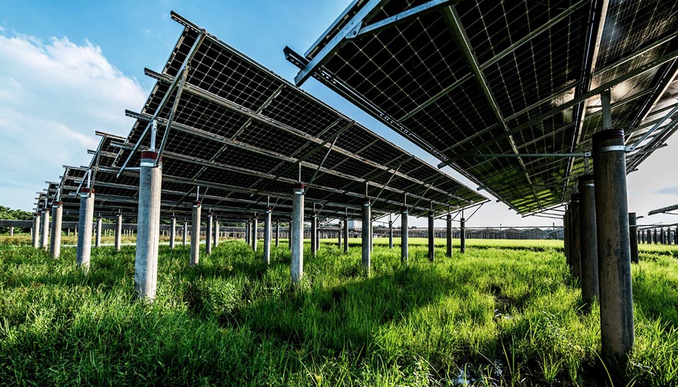 Utility-scale silicon solar farm structure: panels elevated on concrete pillars for maintenance and agricultural use beneath.